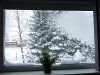 Talvine aknakaunistus töö juures