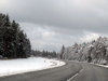 Lumine tee Tallinnasse
