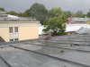 Kajaka poeg kooli katusel