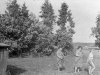 Pildil on Inna, Jutta ja Hilja. Pilt on tehtud puukuuri taga heinaküüni kõrval. Taustal olev võsa aiaga on Gotovi aed.